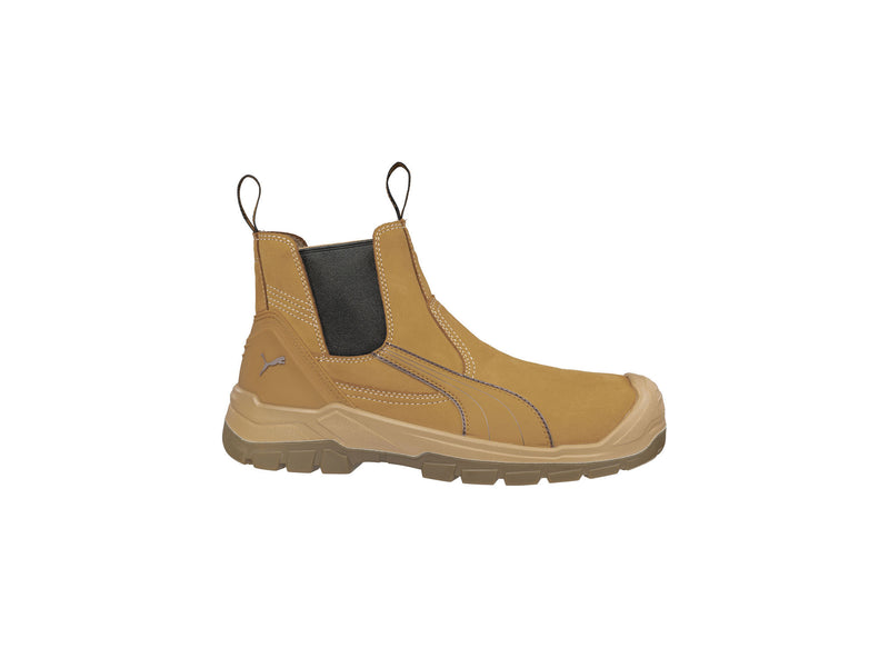 Tanami (Wheat) | PU630377