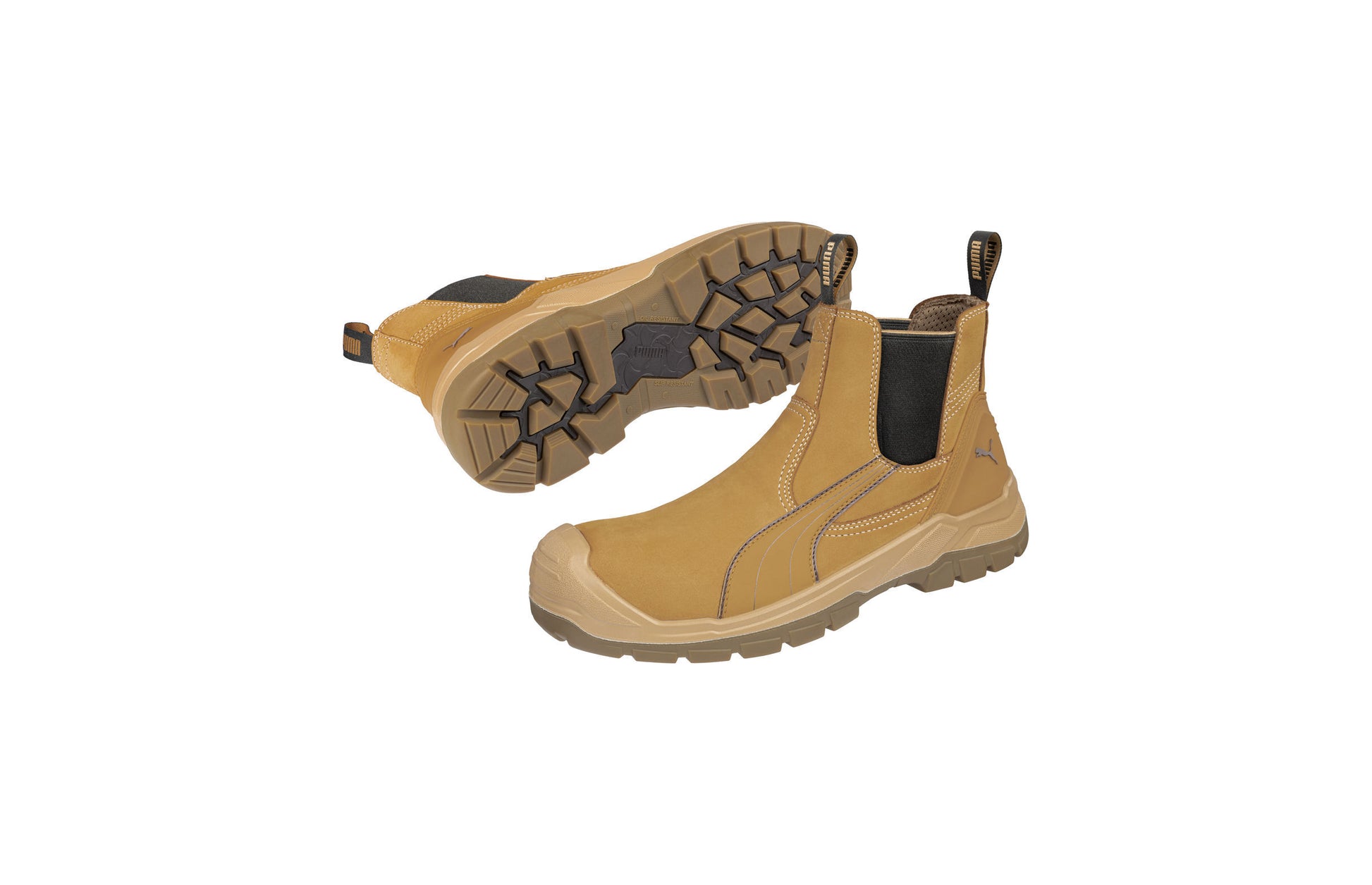 Tanami (Wheat) | PU630377