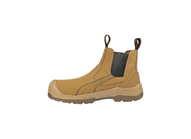 Tanami (Wheat) | PU630377
