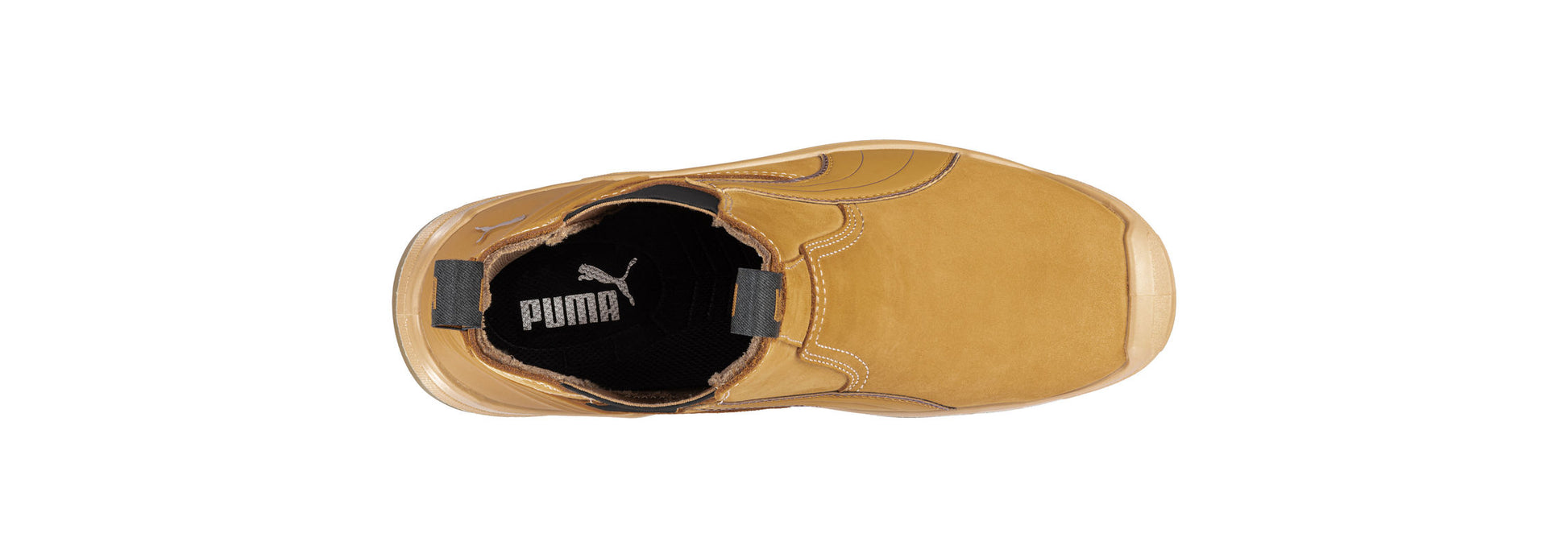 Tanami (Wheat) | PU630377
