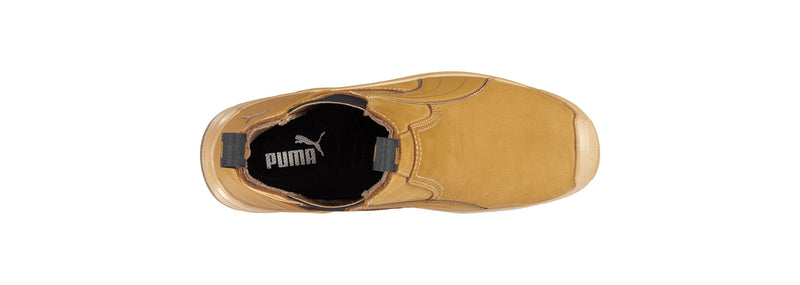 Tanami (Wheat) | PU630377