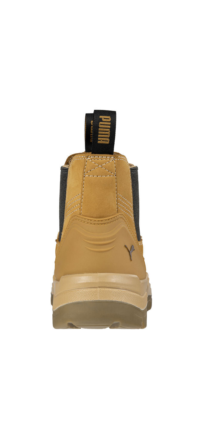 Tanami (Wheat) | PU630377