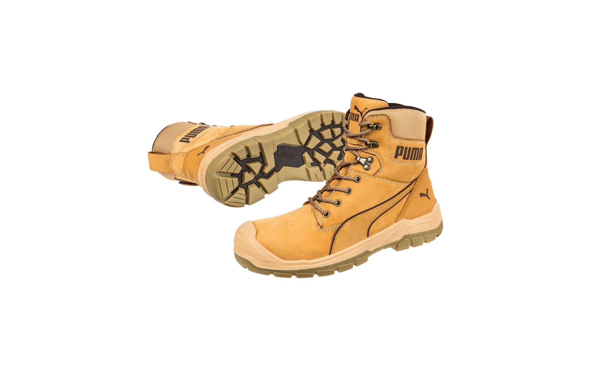 Conquest (Wheat) | PU630727