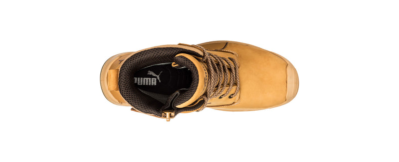Conquest (Wheat) | PU630727