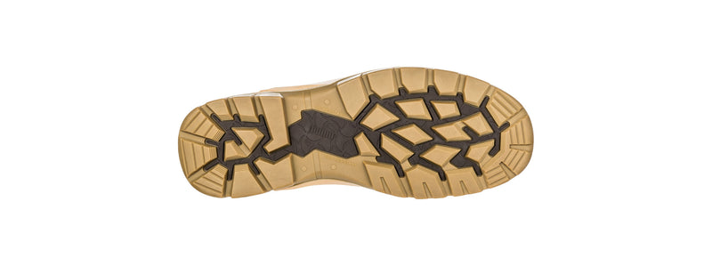 Conquest (Wheat) | PU630727