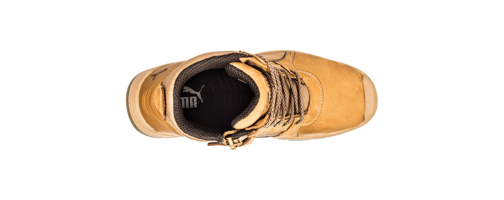 Tornado (Wheat) | PU630787