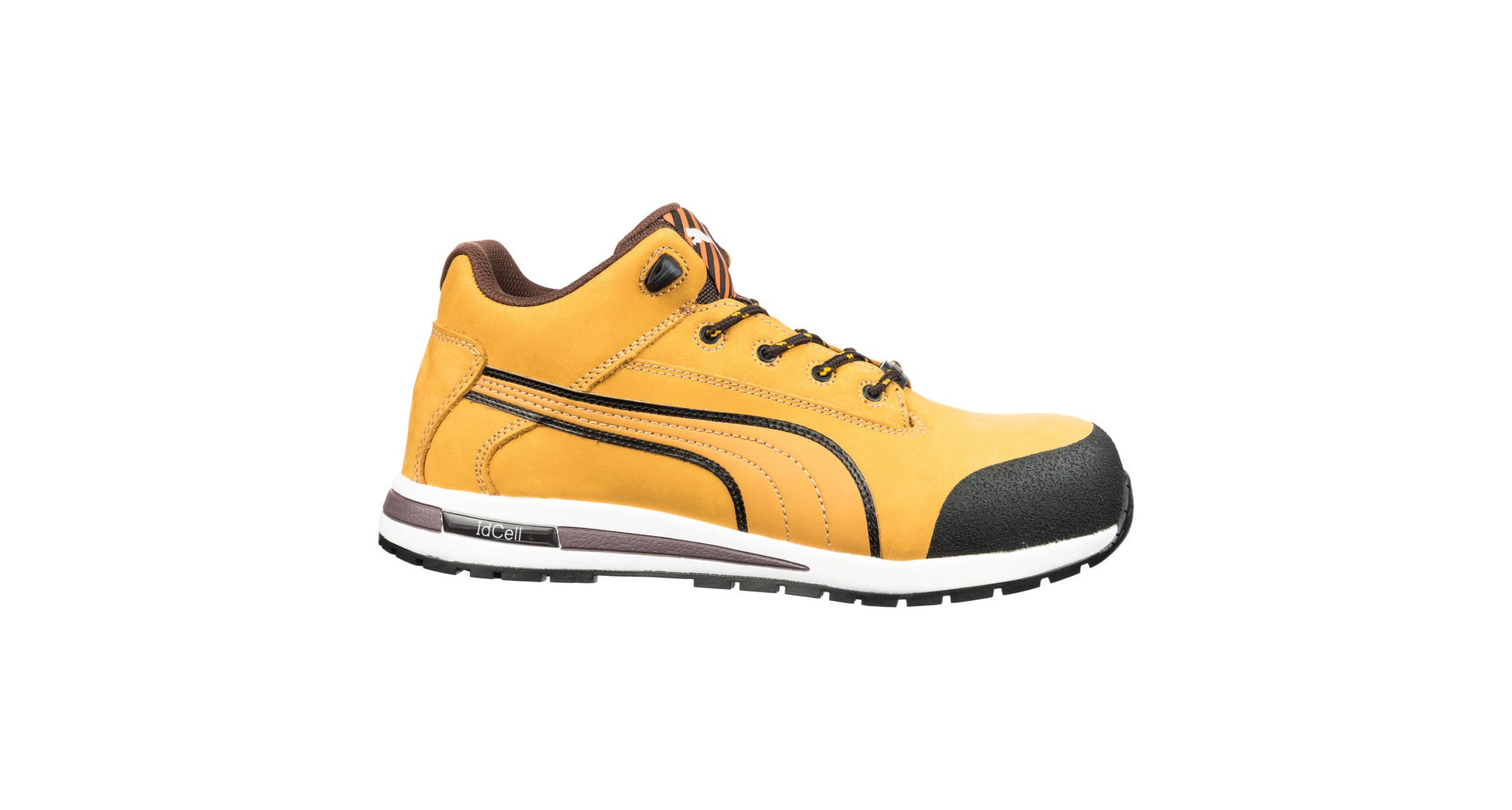 Dash (Wheat) | PU633187