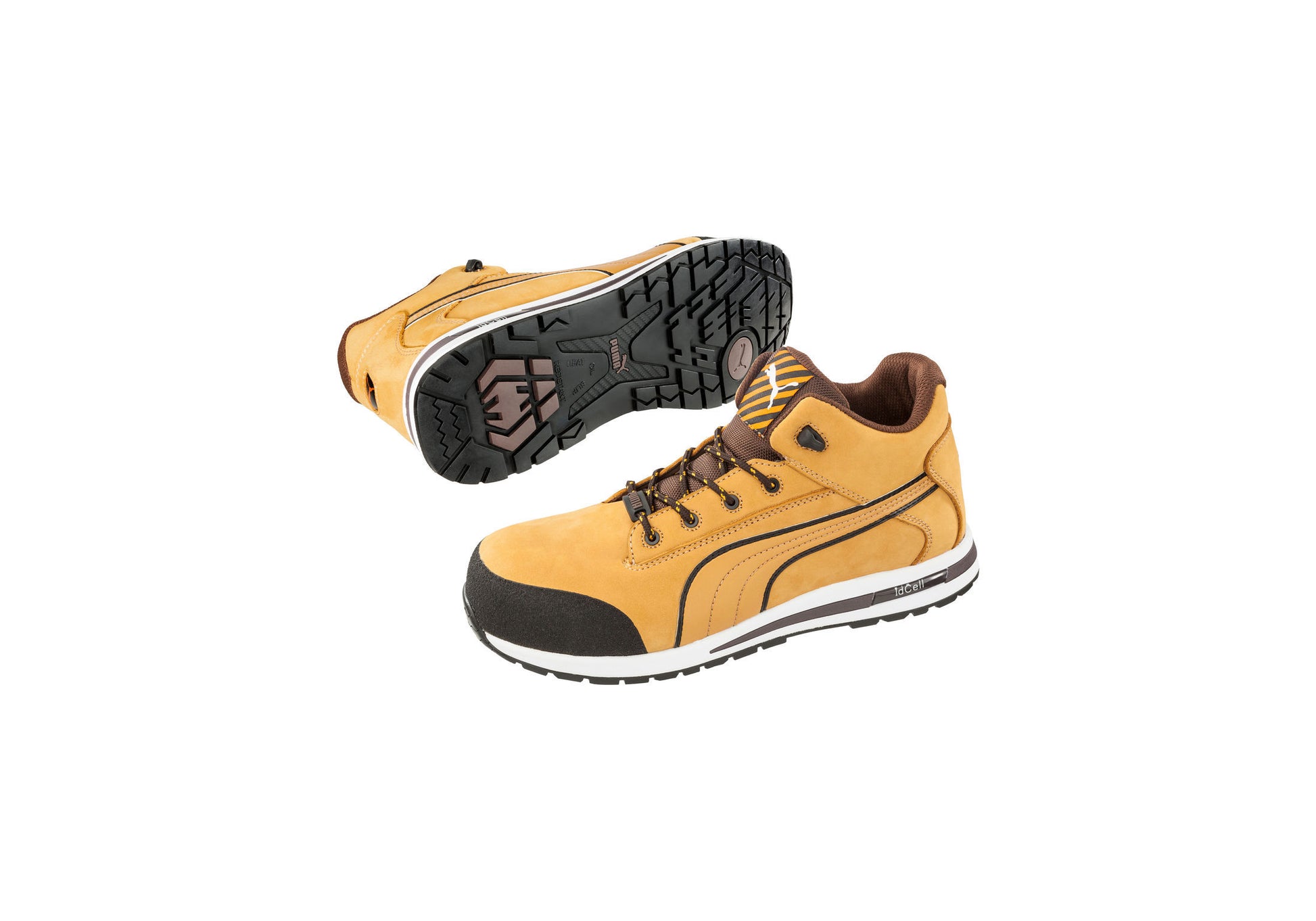 Dash (Wheat) | PU633187