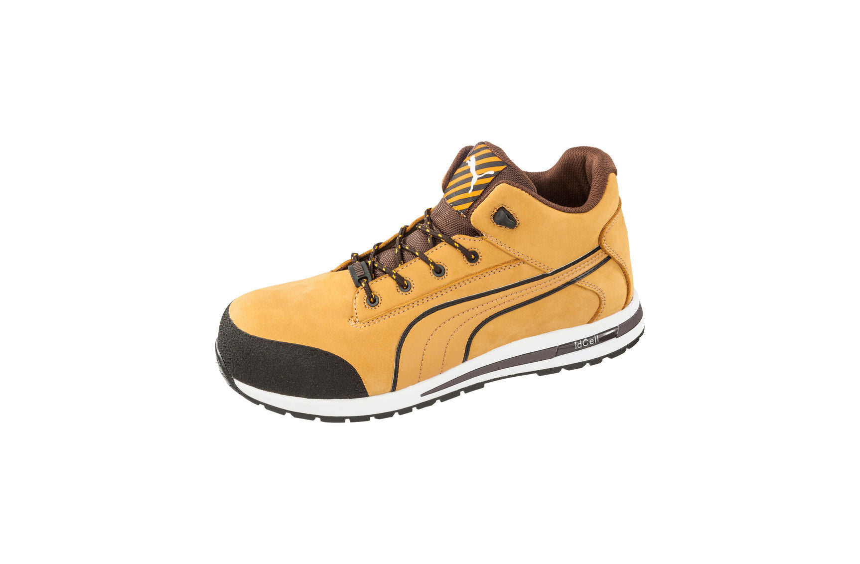 Dash (Wheat) | PU633187