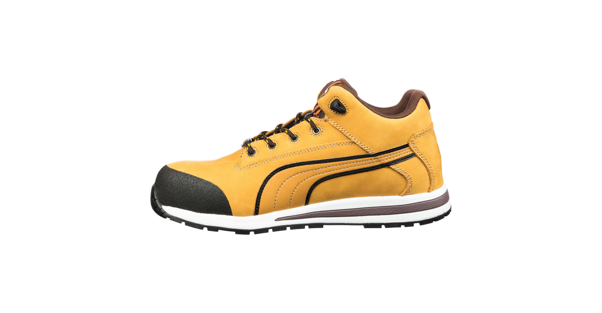 Dash (Wheat) | PU633187